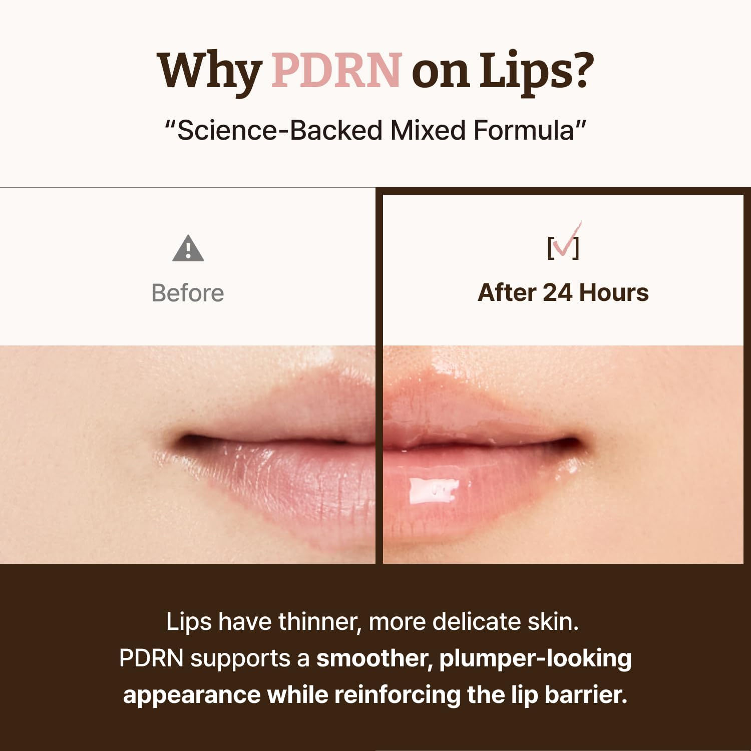 Dr. Rejuall Lip Serum