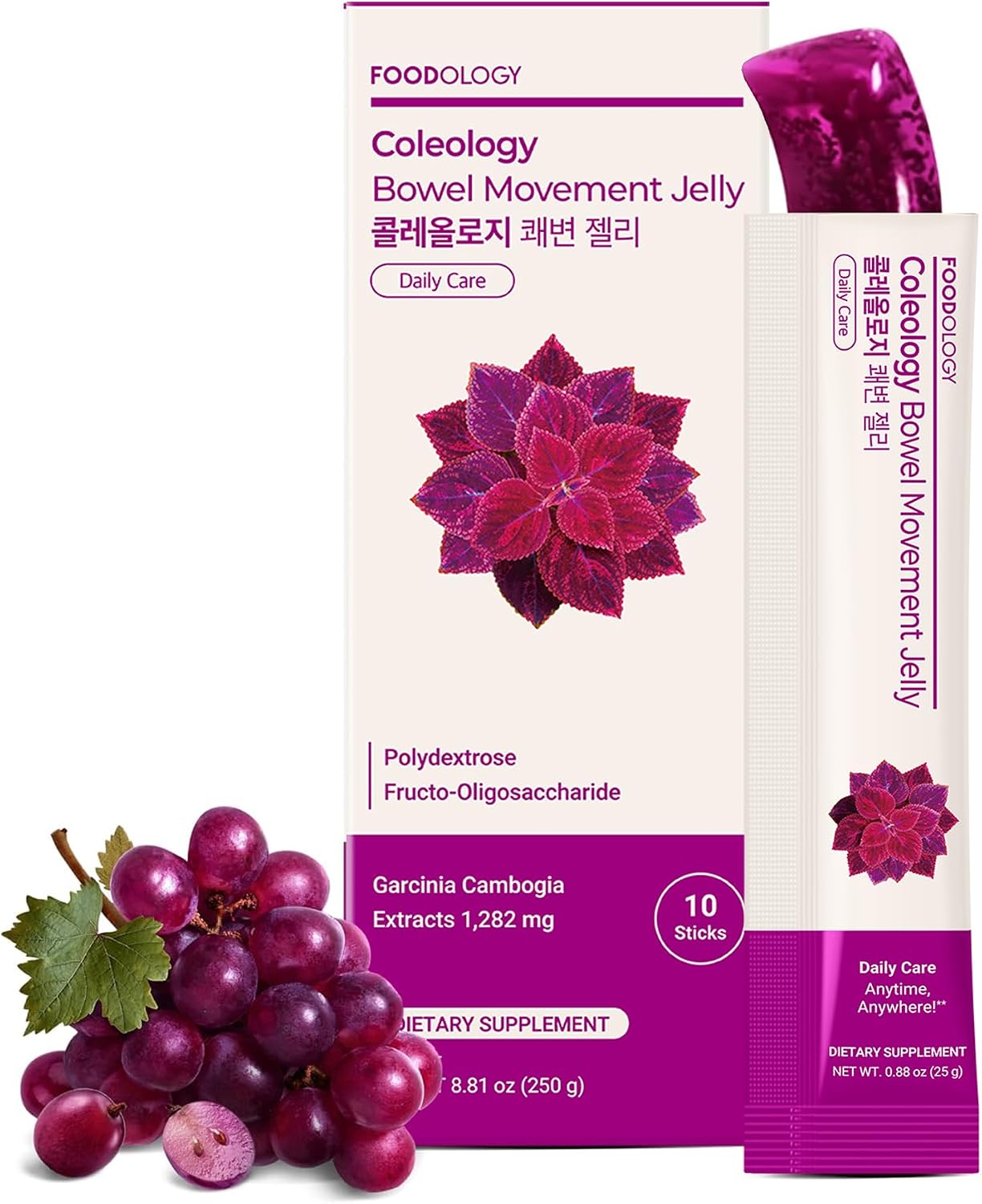 Foodology Coloeology Bowel Movement