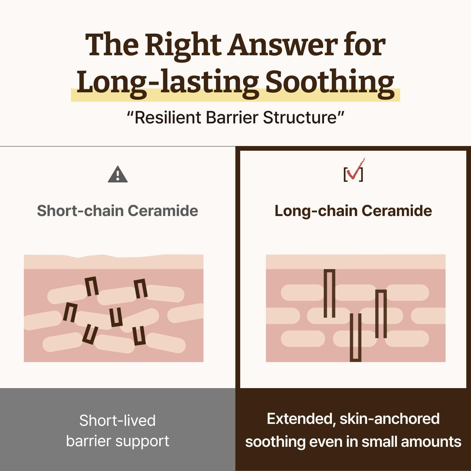 Dr. Reju-All Advanced LC-Ceramide Barrier Cream