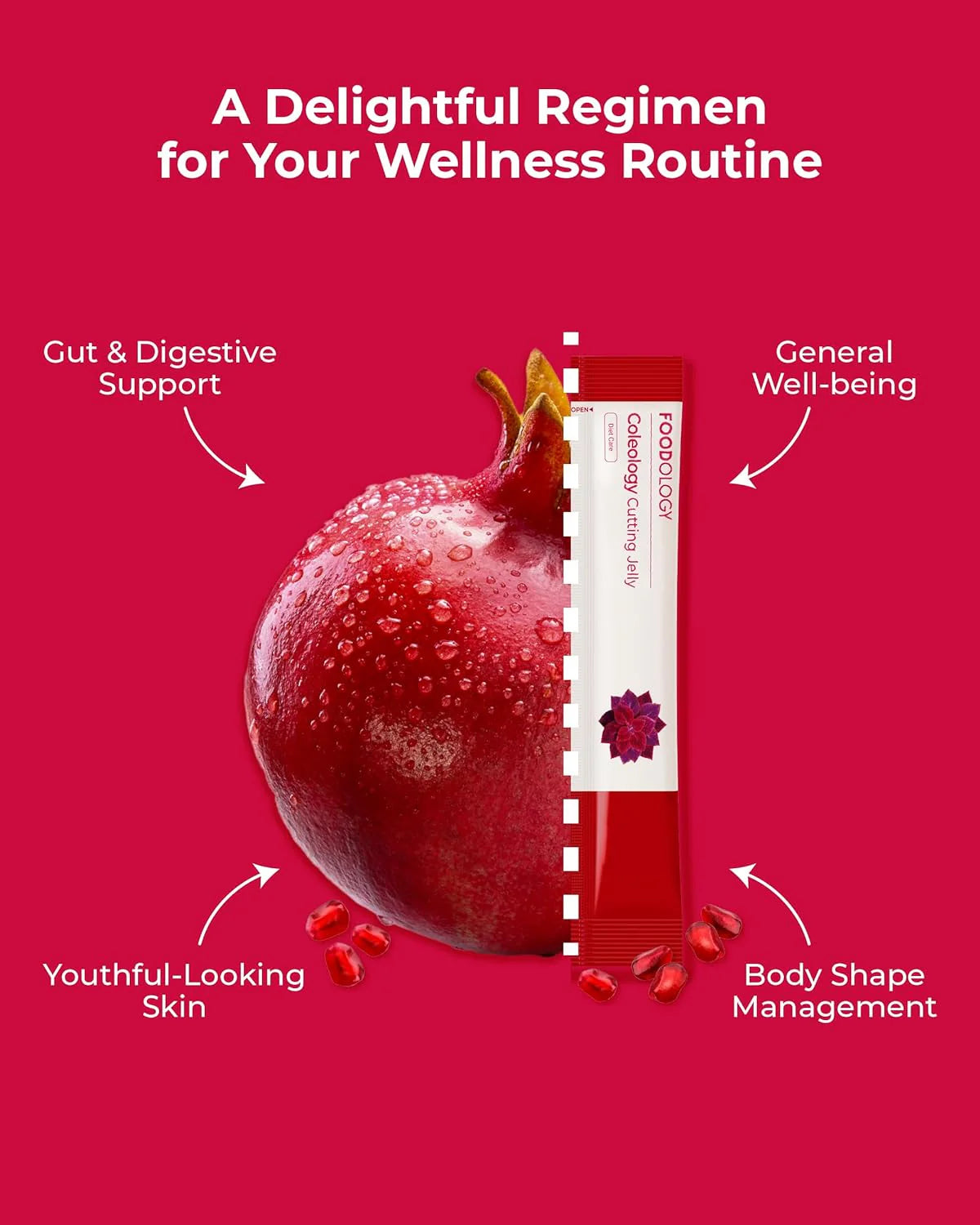 FOODOLOGY Coleology Cutting Jelly