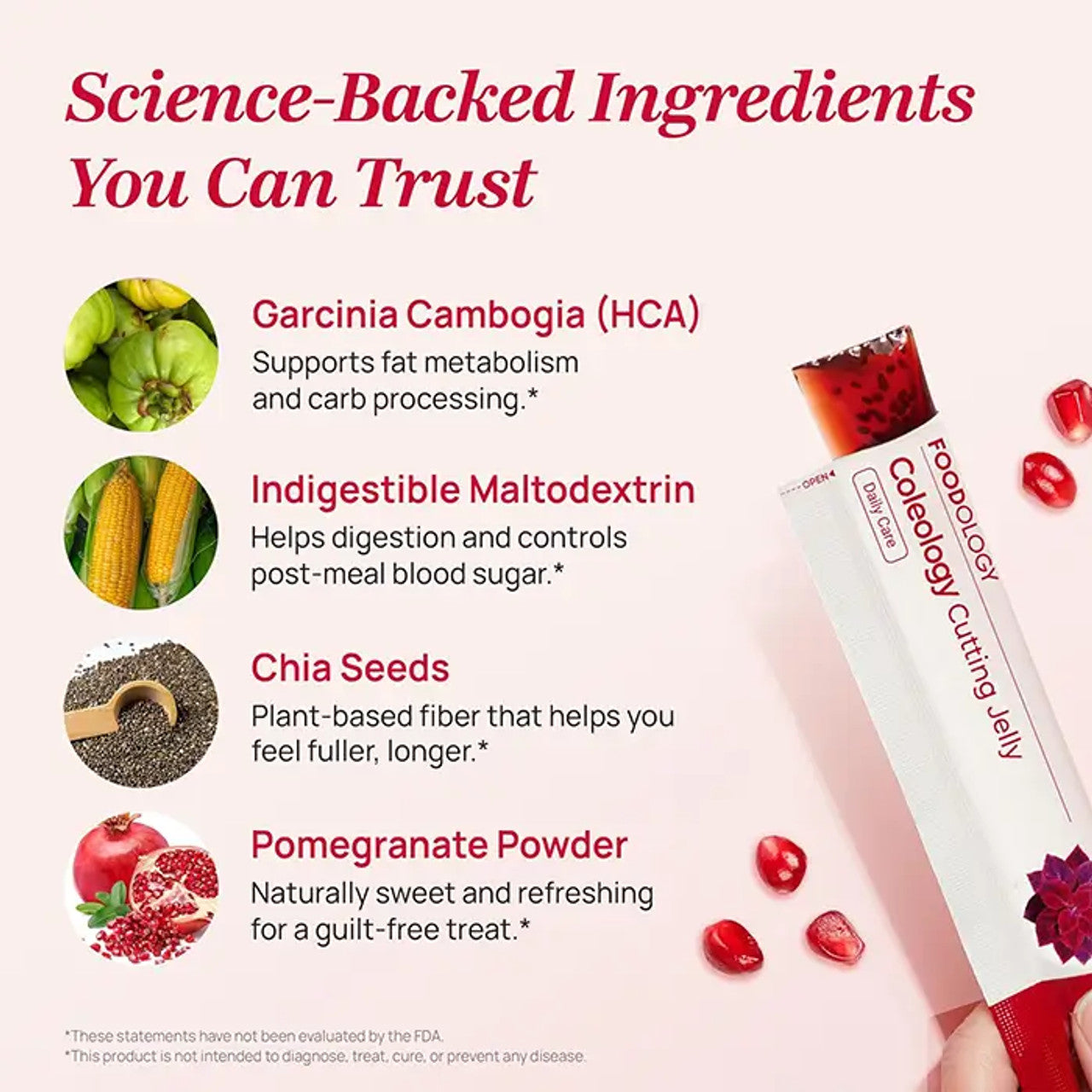 FOODOLOGY Coleology Cutting Jelly