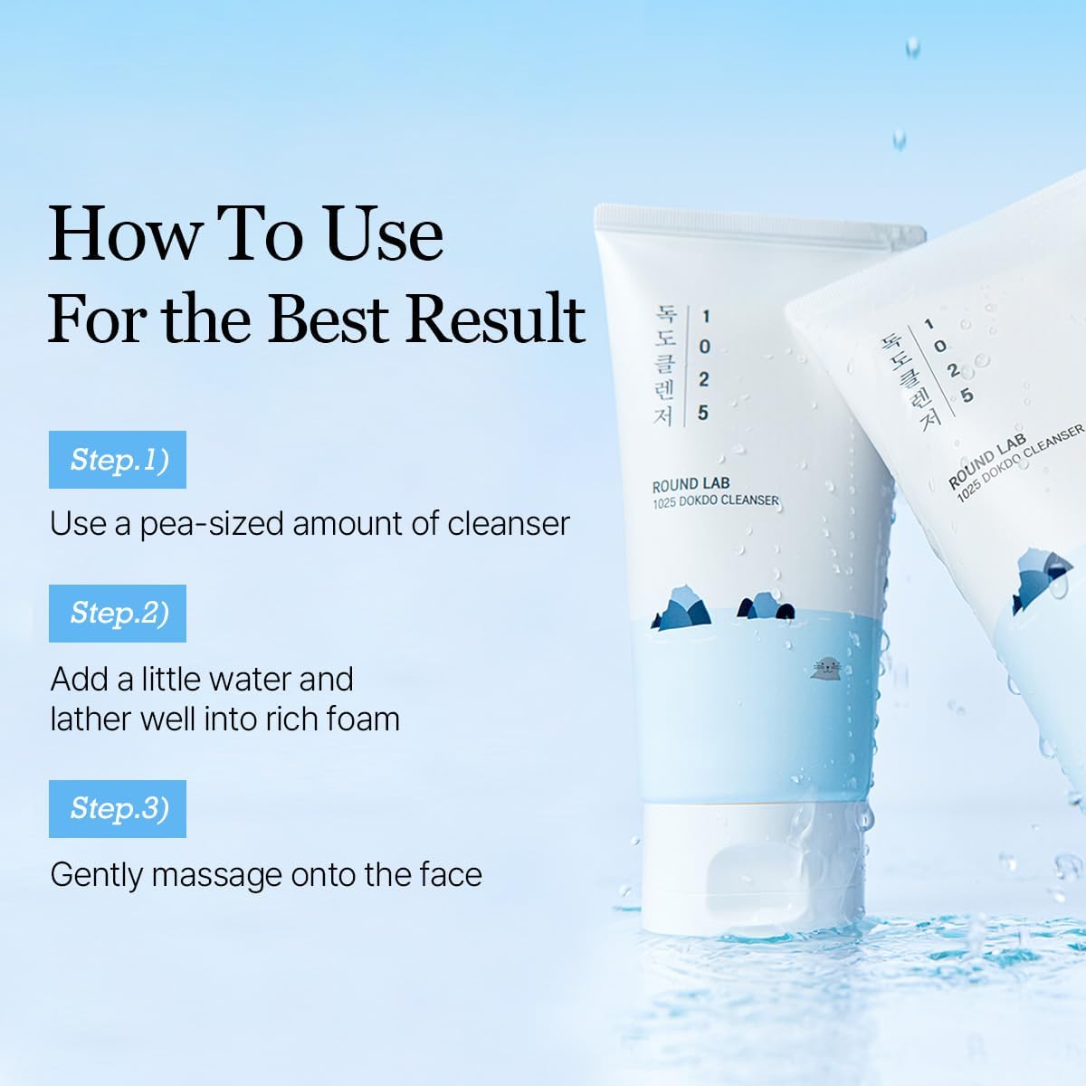 Round Lab 1025 Dokdo Cleanser
